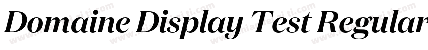 Domaine Display Test Regular字体转换
